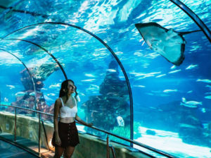 Barcelona_Aquarium