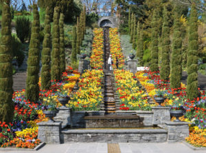 Mainau_Blumeninse