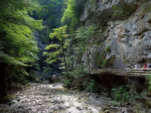 Rappenlochschlucht2